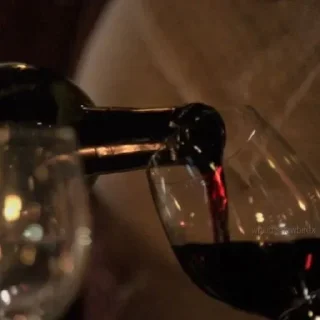 Sticker ℎ𝑒𝑎𝑣𝑒𝑛𝑙𝑦 𝑝𝑙𝑒𝑎𝑠𝑢𝑟𝑒.🍷 - 3