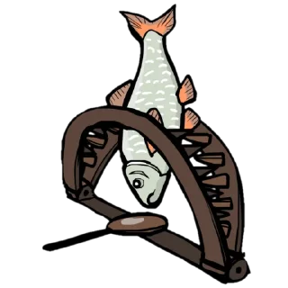 mammal clipart cat