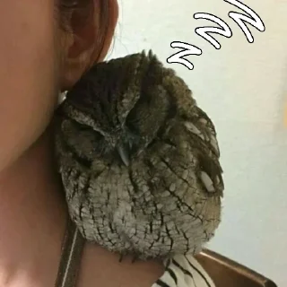 Стикер Больше стиков тут: @stikery4 - 9