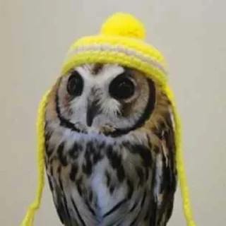 Стикер Больше стиков тут: @stikery4 - 4