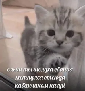 Sticker Больше стиков тут: @stikery4 - 4