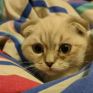 Стикер RNB STATIC by @nik_growly - 9