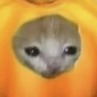 Стикер RNB STATIC by @nik_growly - 0