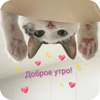 Стикер роблокс - 11