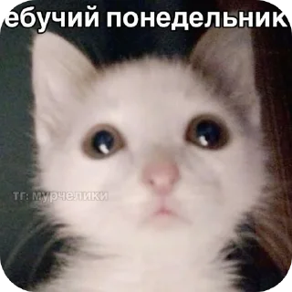 Стикер роблокс - 4