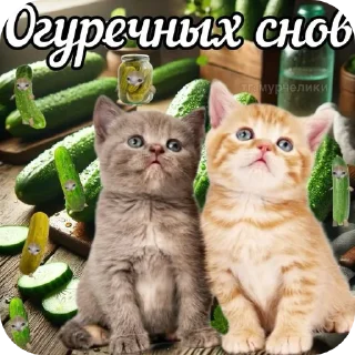 Стикер роблокс - 10