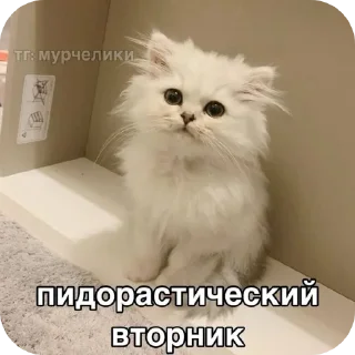 Стикер роблокс - 3