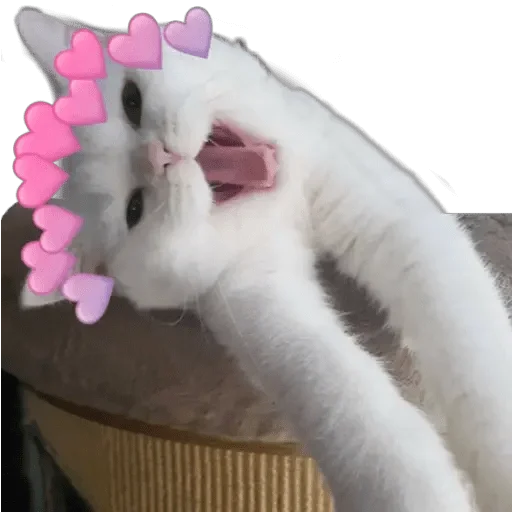 Стикер il cringe di rodeo - 8