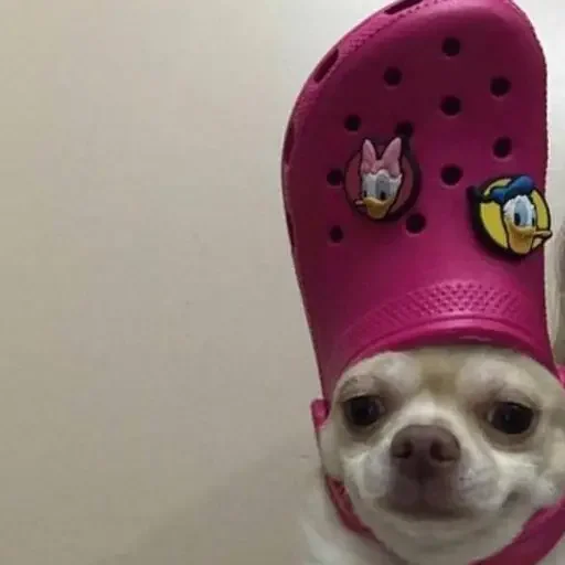 Стикер il cringe di rodeo - 3