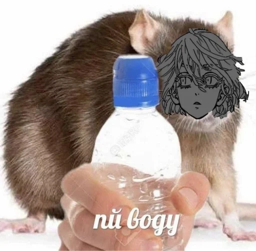 Стикер роднулькитокрев :: @fStikBot - 1