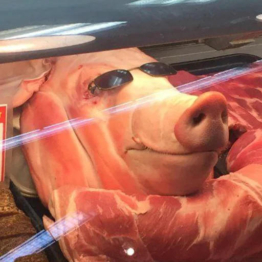 плоть автомобиль Человек