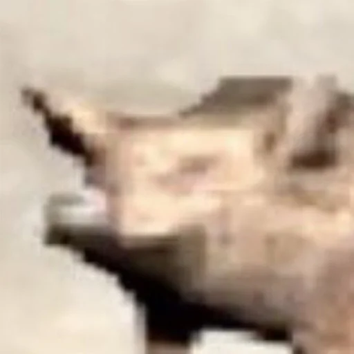 млекопитающее животное искусство