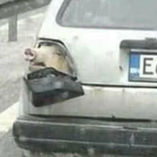 СМС автомобиль на открытом воздухе