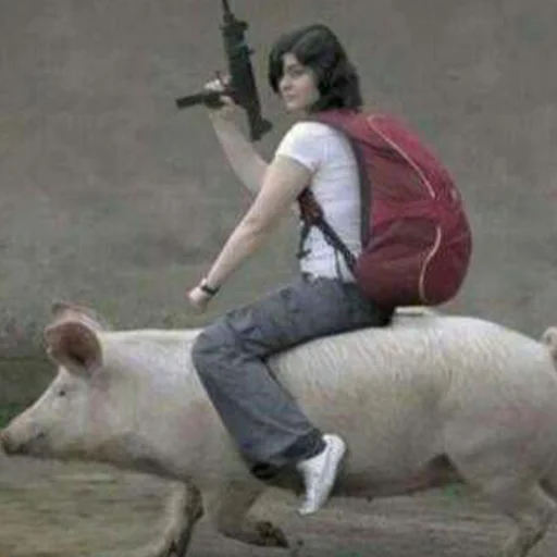 млекопитающее животное свинья