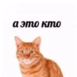 Стикер roflokimidiot - 6