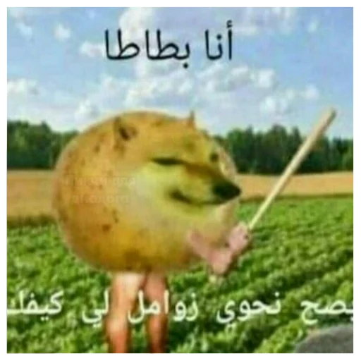 Стикер @sticldom | Картинки для троллинга - 9