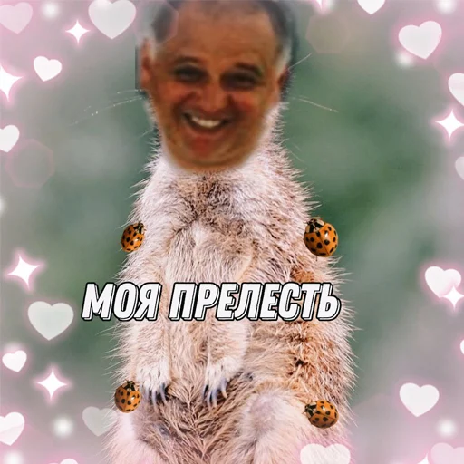 Стикер РОХЛОВ ❤️ - 6