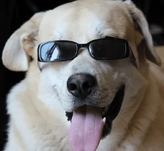 Стикер romamishasticki by @romamishamemi - 6