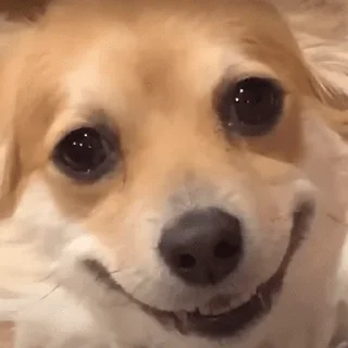 Стикер romamishasticki by @romamishamemi - 4