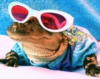 Стикер romamishasticki by @romamishamemi - 8