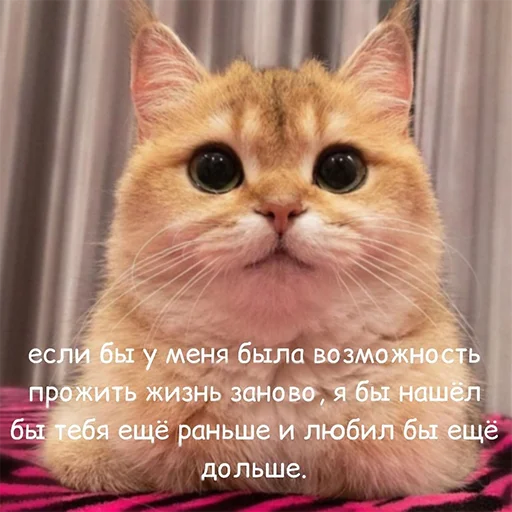 Sticker memenacepack2 - 1