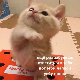 Sticker @memenace pack 2 - 3