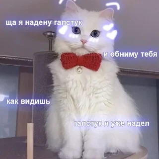 Sticker @memenace pack 2 - 1