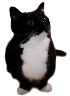 Стикер r0m's kang pak vol.5 - 4