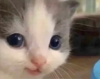 Стикер r0m's kang pak vol.5 - 7