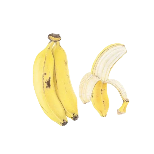 Стикер домашний уют ✨ - 6