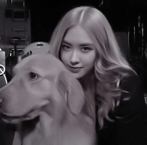 Sticker rose | @jenliastikers - 6