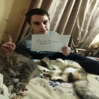 Sticker Royal Harmony - @royal_HSUM - 1