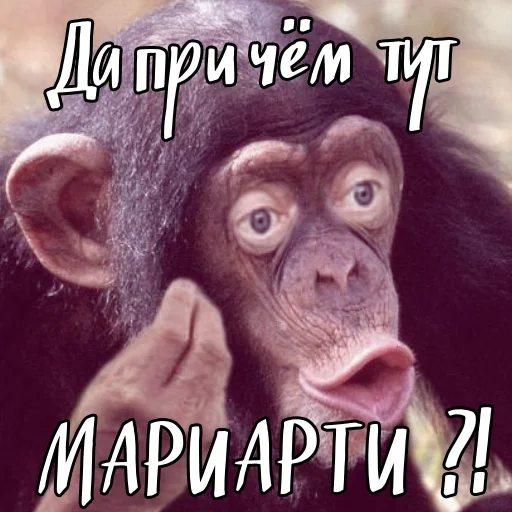 Sticker royalgryadka - 1