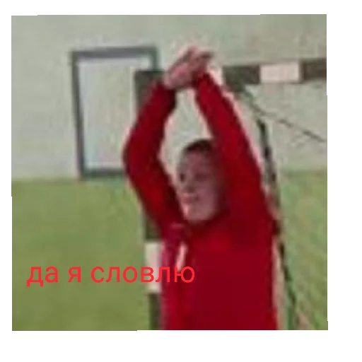 Sticker рожазнакомово - 7