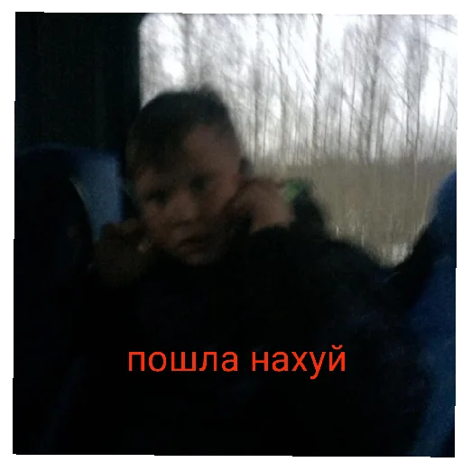 Sticker рожазнакомово - 5