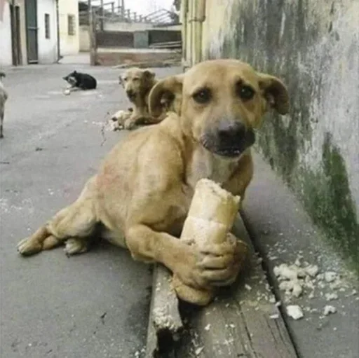 Sticker rpfSjMDs_by_stickers_stealer_bot - 1