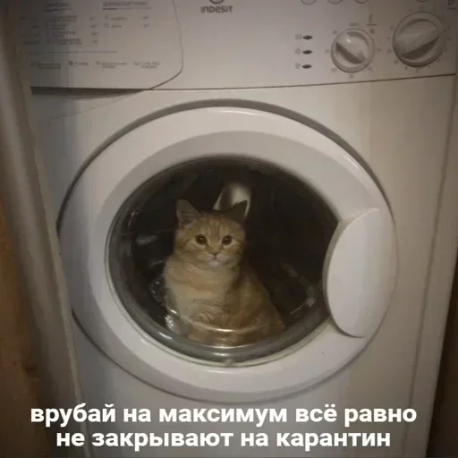 Sticker rqYwMZsDtjniNiRyY_by_stickers_stealer_bot - 1