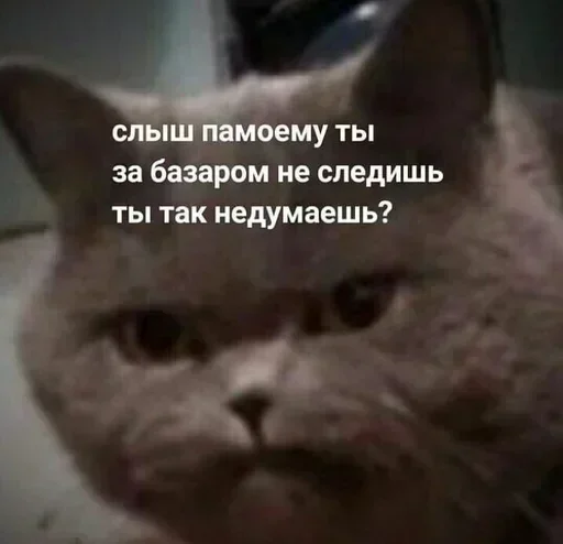 Sticker rqYwMZsDtjniNiRyY_by_stickers_stealer_bot - 1