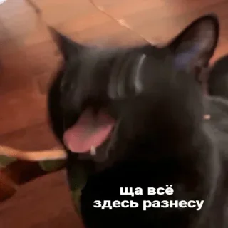 Стикер Лучьше стикеры - @lovesticers - 3