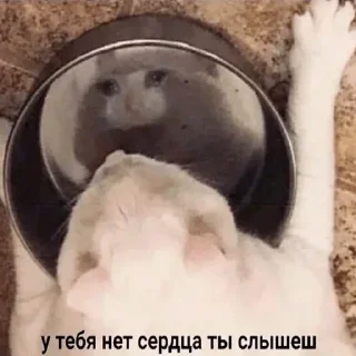 Стикер Лучьше стикеры - @lovesticers - 8