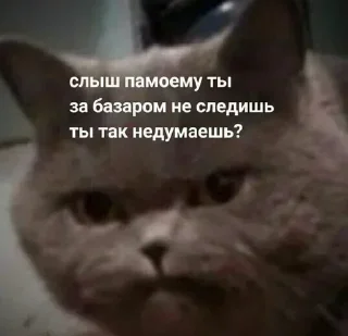 Стикер Лучьше стикеры - @lovesticers - 0