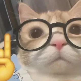 Sticker ♡(>ᴗ•) Христі - 0