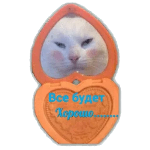 кошки малого и среднего размера домашняя кошка кошка