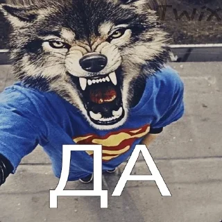 Sticker Больше стикеров: @sticerru - 10