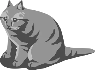 mammal felidae domestic cat