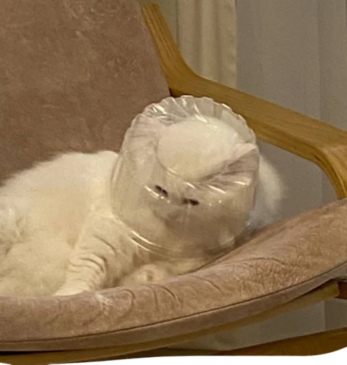 Sticker rubdhchejs - 1