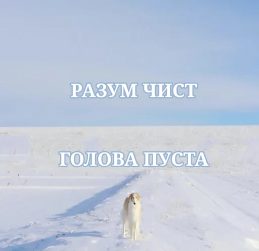 Sticker rus_borzoi - 1