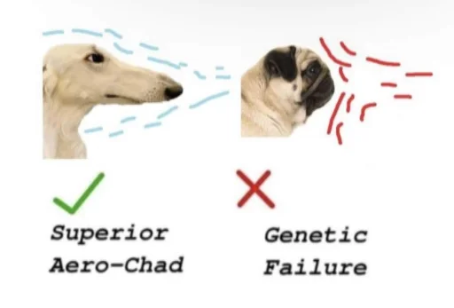 Sticker rus_borzoi - 1