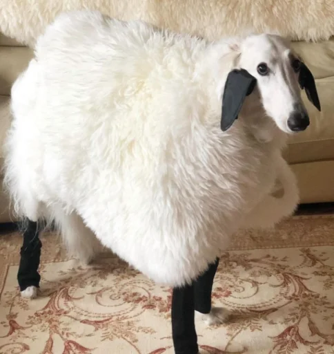 Sticker rus_borzoi - 1