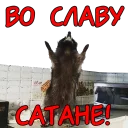 Sticker Енотий пак - 10